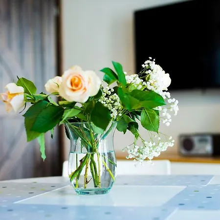 A Morze Gory-ul. Cicha شقة *